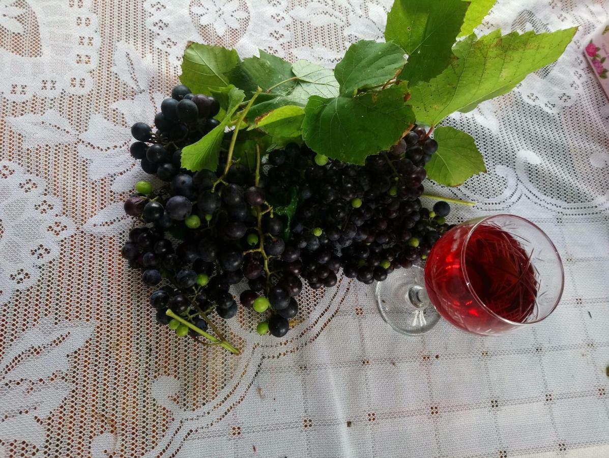 Guest House And Cellar Winery In Ortabatumi Batumi Georgia Buitenkant foto