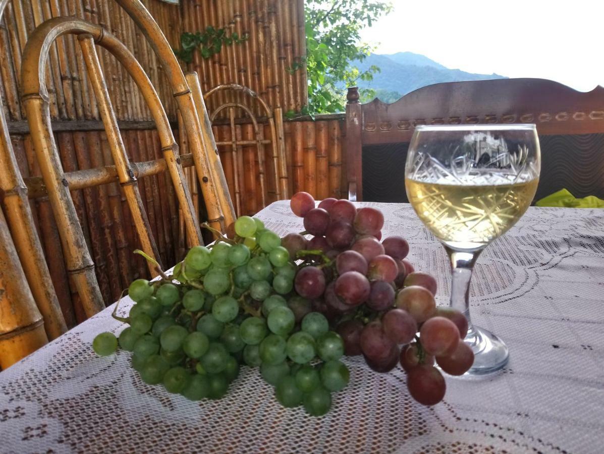 Guest House And Cellar Winery In Ortabatumi Batumi Georgia Buitenkant foto